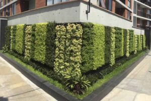 Diseño jardines verticales y paisajismo