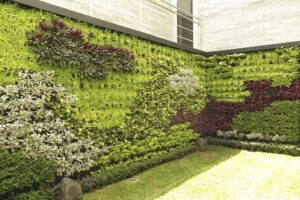 Green wall