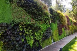 Jardines verticales en edificios modernos